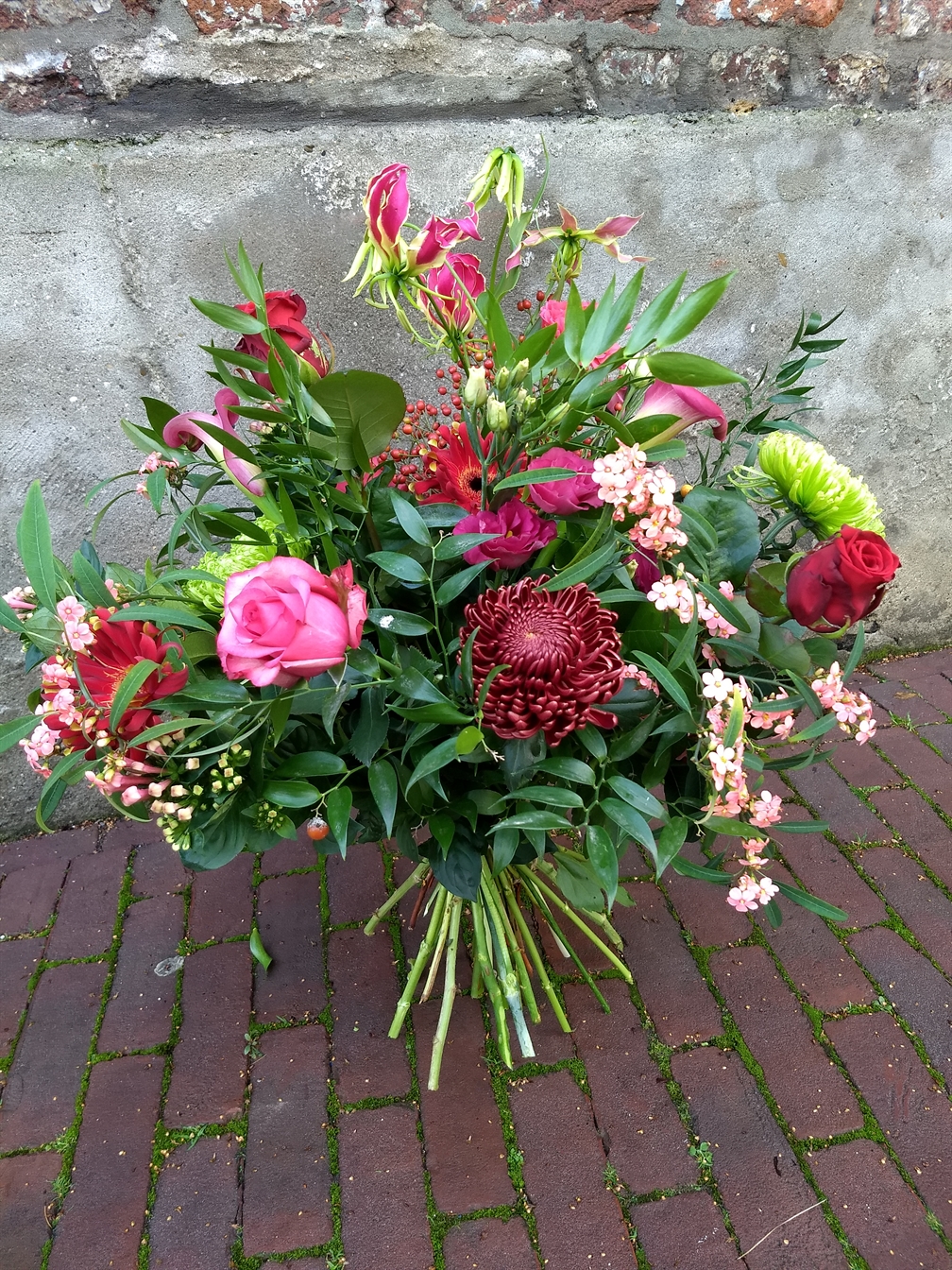 Robuust rood-roze